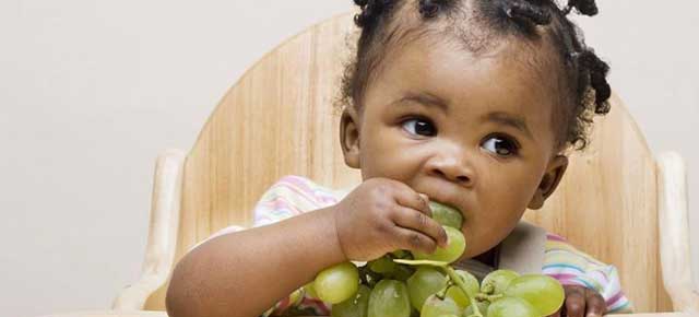 O que o meu bebê pode, não pode e deve comer?