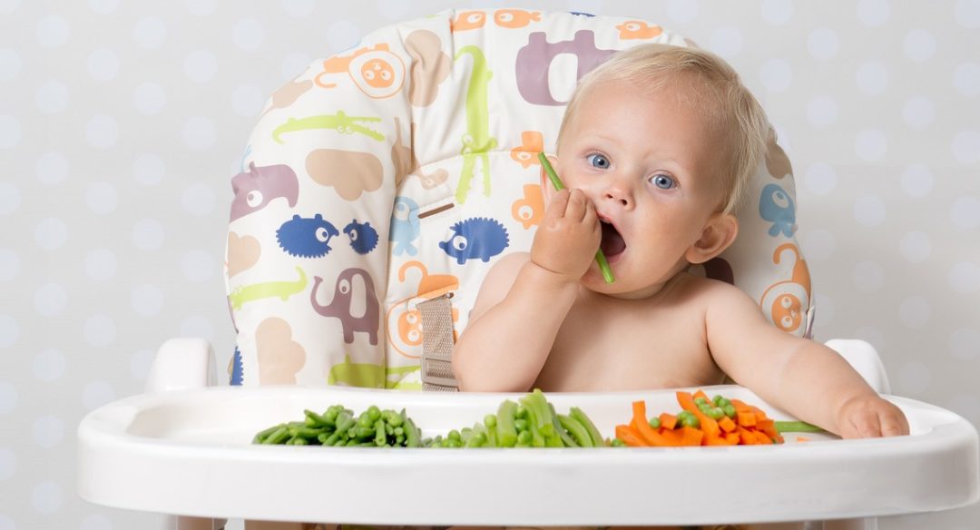 Durante os dois primeiros anos de vida a escolha dos alimentos merece atenção especial